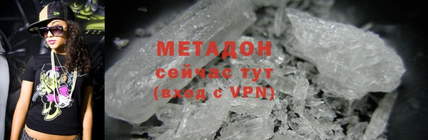 гидра Богородицк