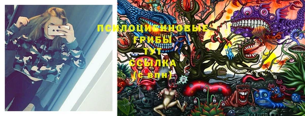 гидра Богородицк