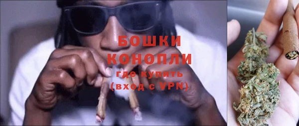 гидра Богородицк