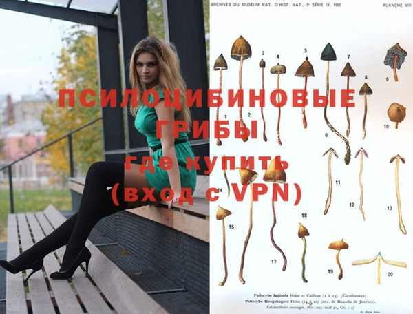 jwh Беломорск