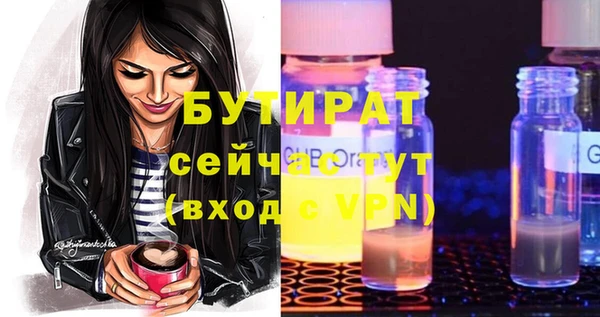 гидра Богородицк