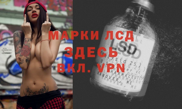 spice Богородск