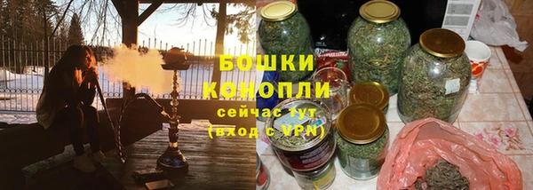 гидра Богородицк