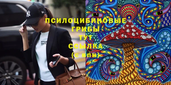 гидра Богородицк